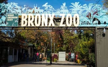 Bronx Zoo, Botanical Garden should support Fordham Road bus service
