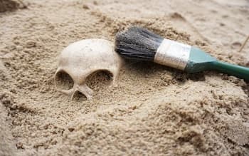 Ancient Skull Upends Understanding of Human Evolution